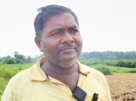 सब्जी की खेती में नुकसान के बाद केले की खेती ने बदली किसान की किस्मत, 4 एकड़ में कर रहे खेती